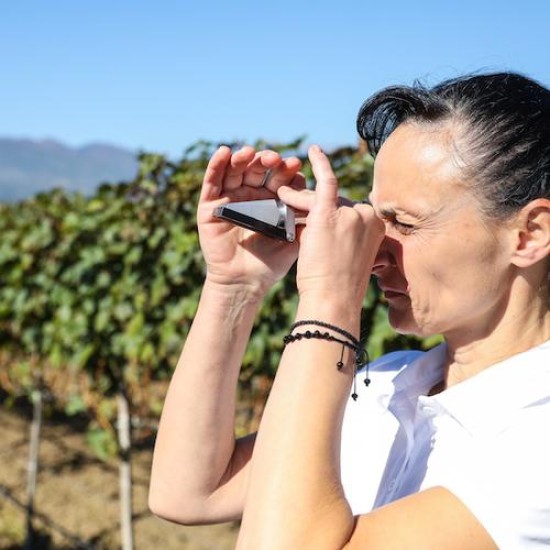 Лукс и комфорт с ''Нощувка за двама с дегустация на вино в Uva Nestum, Гоце Делчев'' от Makaroon