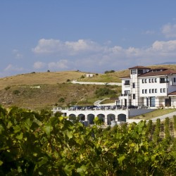 Лозарска бригада за група от 10 човека: гроздобер, винен урок, обиколка на избата и дегустация на пет вина във вила Мелник Лозарска бригада за група от 10 човека: гроздобер, винен урок, обиколка на избата и дегустация на пет вина във вила Мелник