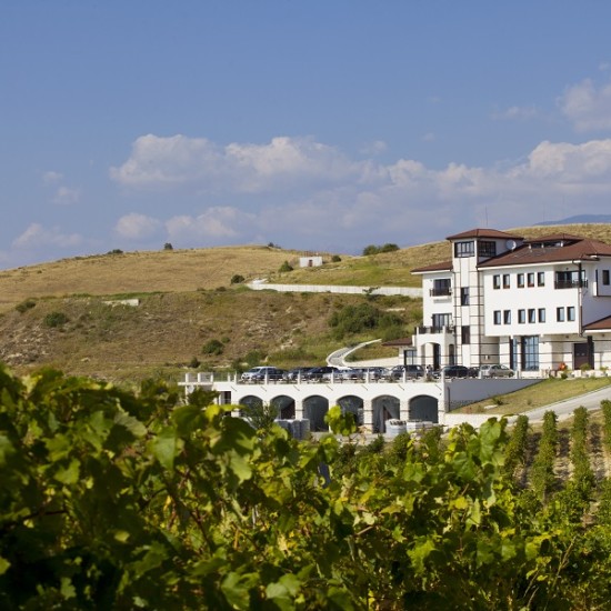 Разпуснете с любимия човек: Винен урок и дегустация за двама във вила Мелник от Makaroon