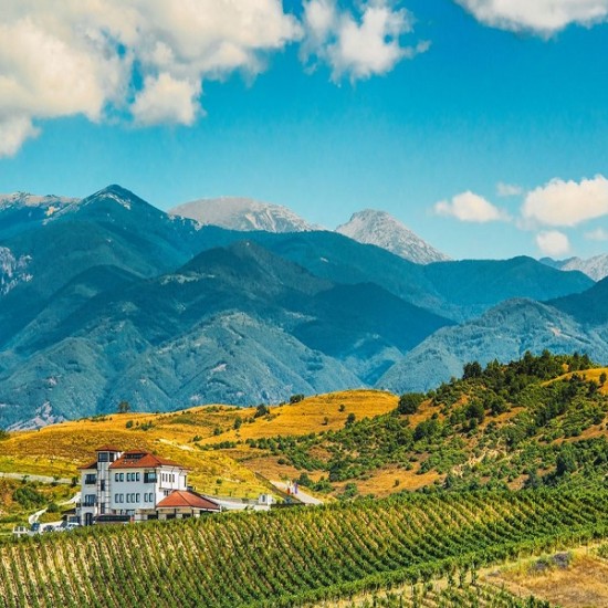 Разпуснете с любимия човек: Винен урок и дегустация за двама във вила Мелник от Makaroon