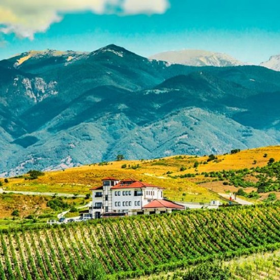 Разпуснете с любимия човек: Винен урок и дегустация за двама във вила Мелник от Makaroon