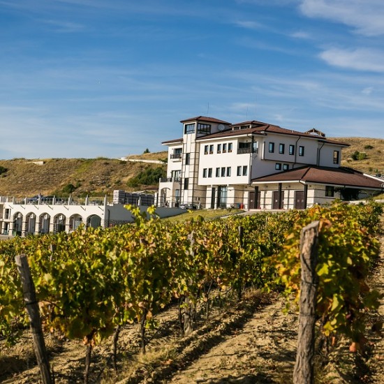 Разпуснете с любимия човек: Винен урок и дегустация за двама във вила Мелник от Makaroon