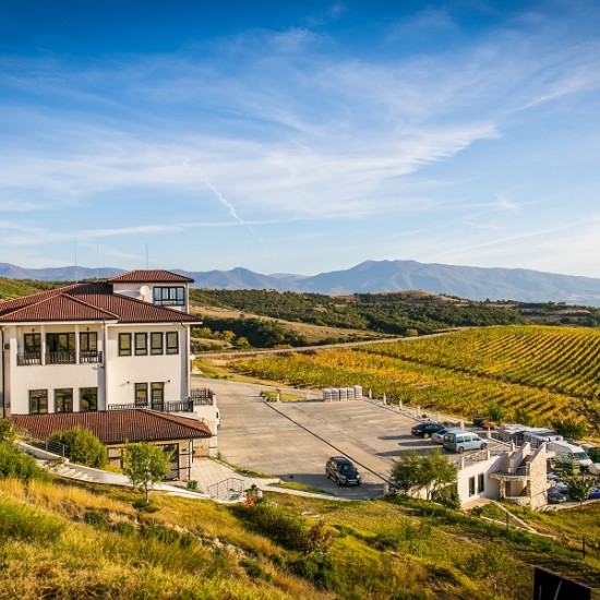 Разпуснете с любимия човек: Винен урок и дегустация за двама във вила Мелник от Makaroon