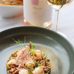 Две нощувки за двама в стая Де Лукс във вила Синтика с дегустация, закуска и вечери + вино 