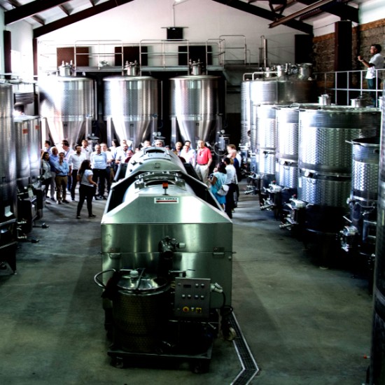 Винено удоволствие: Дегустация на 3 вида вино за двама във вила Юстина от Makaroon