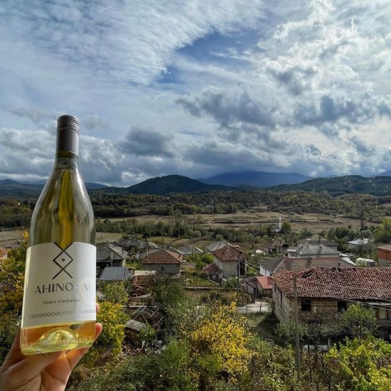 Едно лозаро-винарско приключение сред Дунавската равнина с "Дегустация за двама в с. Селановци" от Makaroon