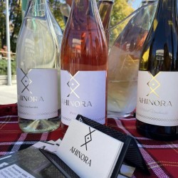 Дегустация за двама във винарска изба Ахинора в с. Селановци