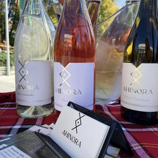 Едно лозаро-винарско приключение сред Дунавската равнина с "Дегустация за двама в с. Селановци" от Makaroon