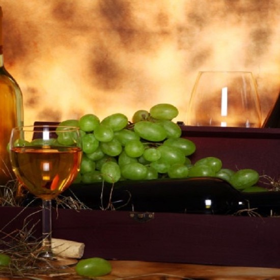 Дегустация за двама на български вина в София | Makaraoon.bg