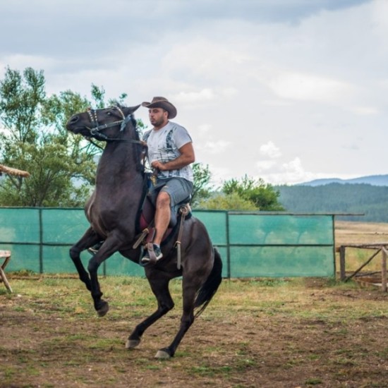 Конна езда сред природата близо до Банскоот Макароон Конна езда сред природата близо до Банско от Макароон