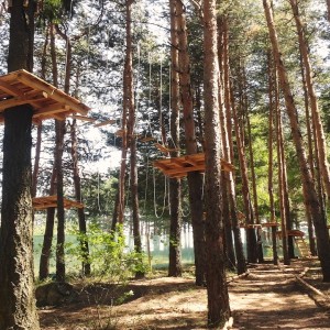 Приключение във въжен парк, конна езда и каране на АТВ в Добринище