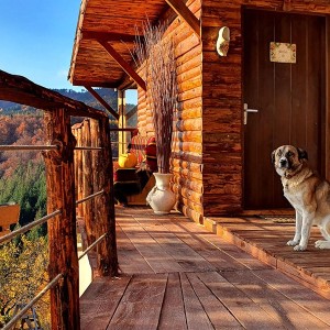 Избягайте от шумния град с „Две нощувки в къща за гости Артел 13 в с. Змиево“ 