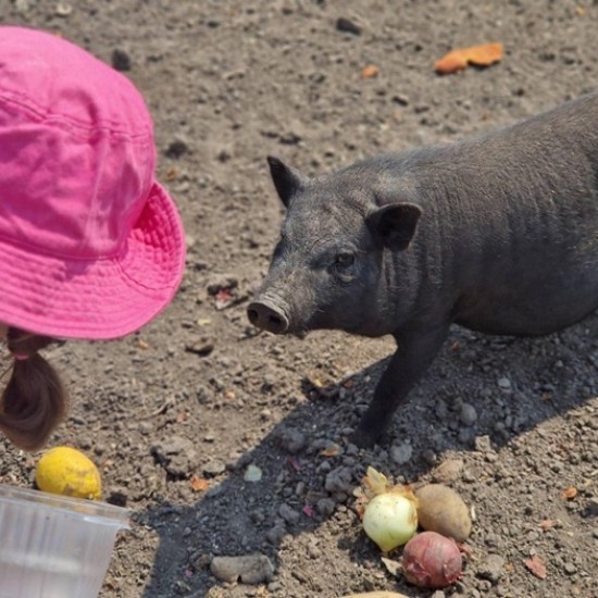 Подарете си едно невероятно преживяване в животинския свят с Посещение за двама + 2 деца в зоопарк Бургас от Makaroon