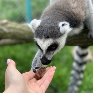 В царството на животните: Посещение за двама в зоопарк Бургас 