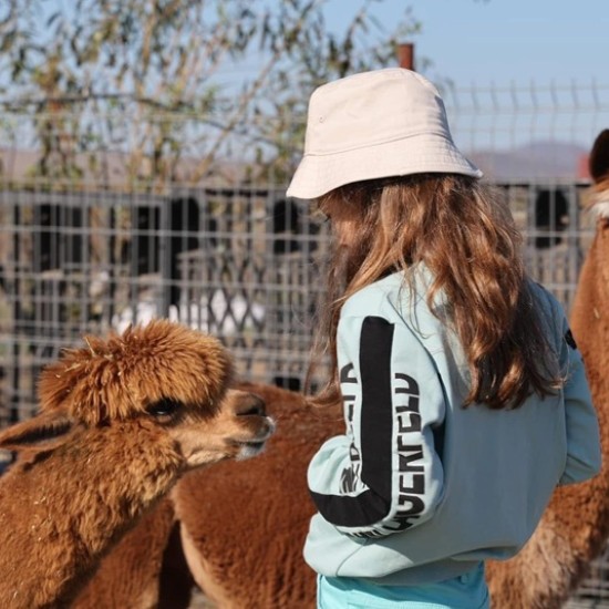 Подарете си едно невероятно преживяване в животинския свят с Посещение за двама в зоопарк Бургас от Makaroon
