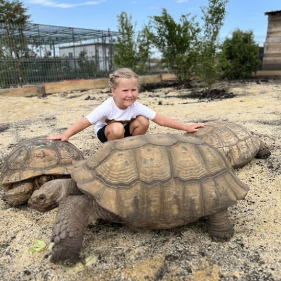 Подарете си едно невероятно преживяване в животинския свят с Посещение за двама в зоопарк Бургас от Makaroon