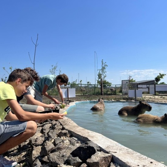 Подарете си едно невероятно преживяване в животинския свят с Посещение за двама + 1 дете в зоопарк Бургас от Makaroon