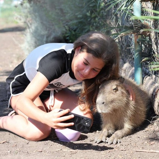 Подарете си едно невероятно преживяване в животинския свят с Посещение за двама + 1 дете в зоопарк Бургас от Makaroon