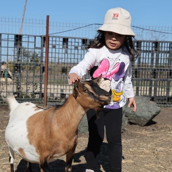 Подарете си едно невероятно преживяване в животинския свят с Посещение за двама + 1 дете в зоопарк Бургас от Makaroon