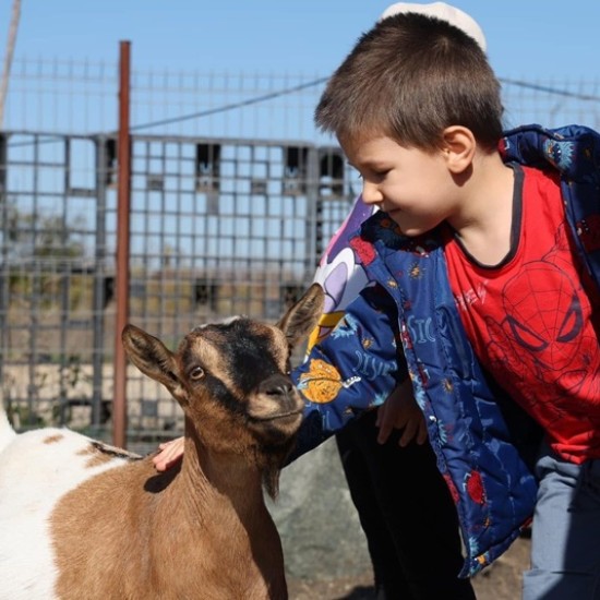 Подарете си едно невероятно преживяване в животинския свят с Посещение за двама + 1 дете в зоопарк Бургас от Makaroon