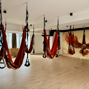 Индивидуална практика „Въздушна йога за бременни“ Индивидуална практика „Въздушна йога за бременни“