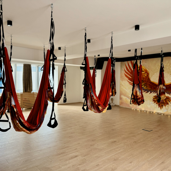 Грижа за всяка бъдеща майка с  „Въздушна йога за бременни“ от Makaroon