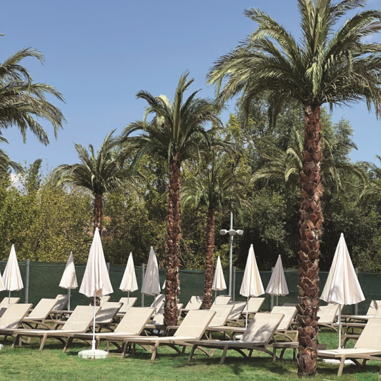 Подарете куп водни забавления с уикенд билет за двама в Аквапарк София от Makaroon