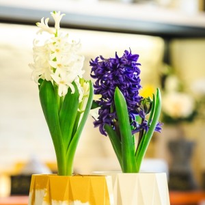 Арт ателие за изработка на декорация от бетон