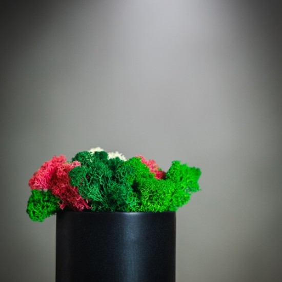 Tворете по разчупенo с Арт работилница за изработка на декорация от бетон от Makaroon