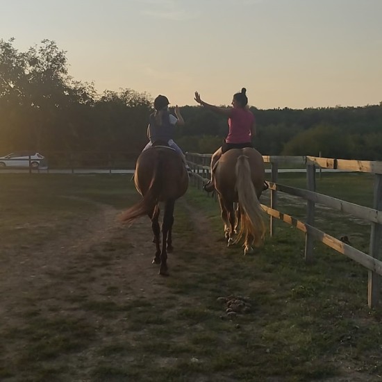 В света на конния спорт с "Урок по езда на манеж в с. Батошево" от Makaroon