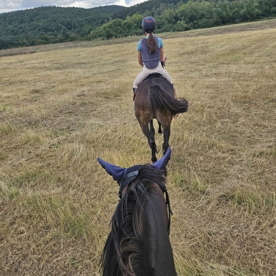 Природа, коне и релакс с "Езда сред природата за начинаещи в с. Батошево" от Makaroon