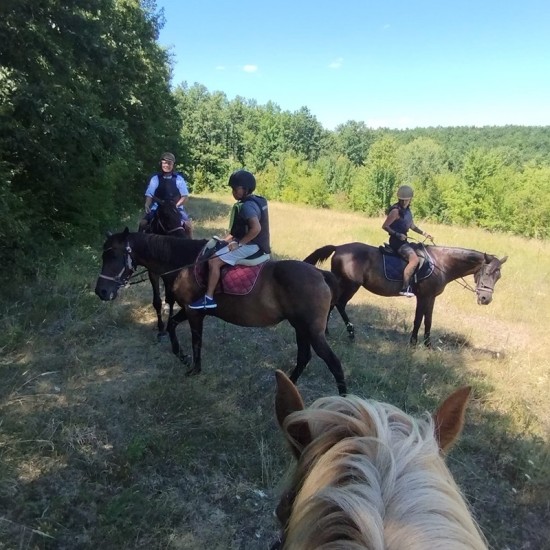 Приказна разходка с "Поход за напреднали ездачи с включен пикник сред природата за двама в с. Батошево" от Makaroon