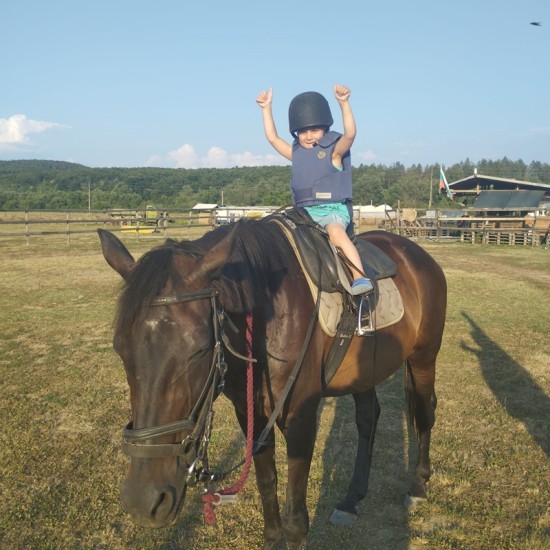 В света на конния спорт с "Урок по езда на манеж в с. Батошево" от Makaroon