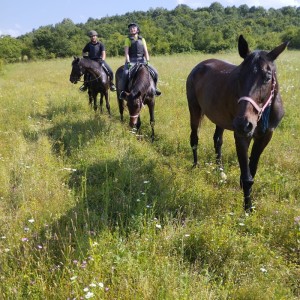 Езда сред природата за начинаещи в с. Батошево Езда сред природата за начинаещи в с. Батошево
