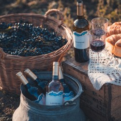 Бутикови вина и хубави моменти с „Дегустационен пакет Премиум за до 10 души“ край Варна