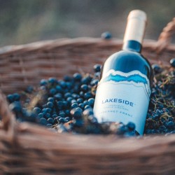 Бутикови вина и хубави моменти с „Дегустационен пакет Премиум за до 10 души“ край Варна