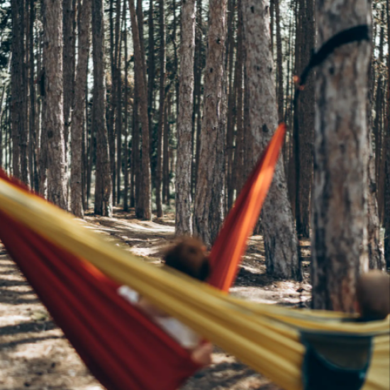 Почивка и природа - Уикенд със закуска за двама в самостоятелна вила в комплекс „СкитникЪ“ от Makaroon Почивка и природа - Уикенд със закуска за двама в самостоятелна вила в комплекс „СкитникЪ“ от Makaroon