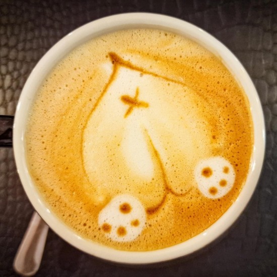 Puppies and smiles with Dessert and a hot drink for two in the company of a corgi at Corgi Cafe from Makaroon Puppies and smiles with Dessert and a hot drink for two in the company of a corgi at Corgi Cafe from Makaroon