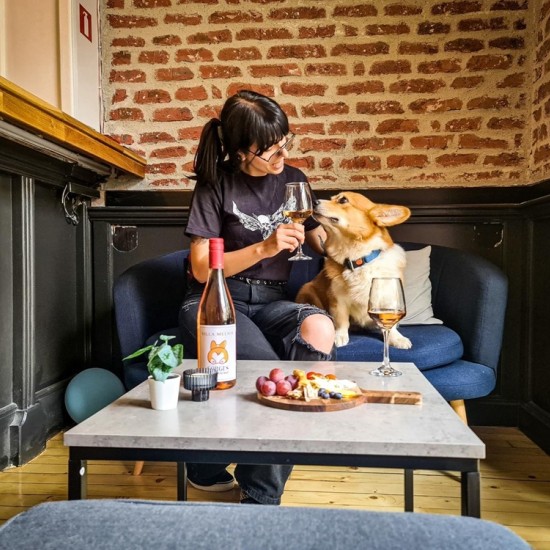 Нотки на сладост и емоция с Дегустация на 3 вида вино в компанията на кученца корги от Makaroon Нотки на сладост и емоция с Дегустация на 3 вида вино в компанията на кученца корги от Makaroon