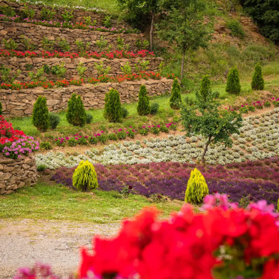 Разходка за двама в с. Долене – едно от най-китните кътчета в България