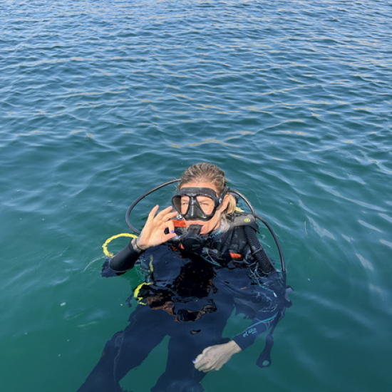 Explore the seabed with the "Diving Course" from Makaroon.bg