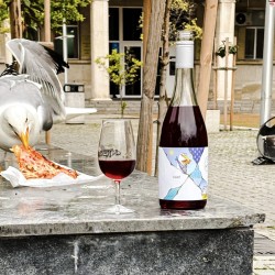 Дегустация на 3 сезонни вина за двама в Изба Одесос, Варна 