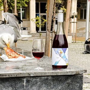 Дегустация на 3 сезонни вина за двама в Изба Одесос, Варна 