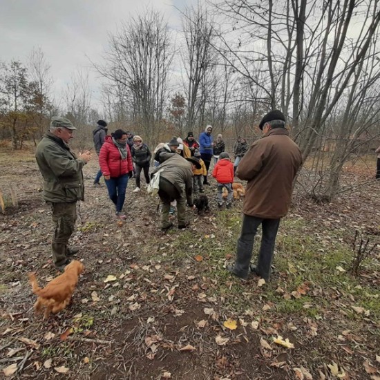 Открийте един нов и тайнствен свят с  „Лов и дегустация на трюфели  край Варна“ от Makaroon