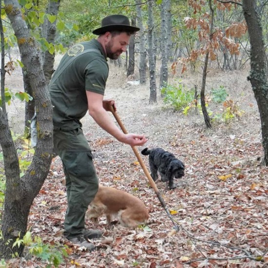 Открийте един нов и тайнствен свят с  „Лов и дегустация на трюфели  край Варна“ от Makaroon