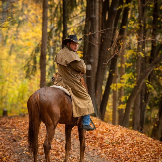 Разходка с кон до Дендрариума и Копитото от Макароон Разходка с кон до Дендрариума и Копитото от Макароон