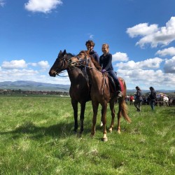 Разходка с кон до Дендрариума или Копитото