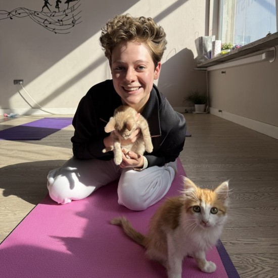 Сладост, практика и игра с „Йога с котенца“ от Makaroon Сладост, практика и игра с „Йога с котенца“ от Makaroon