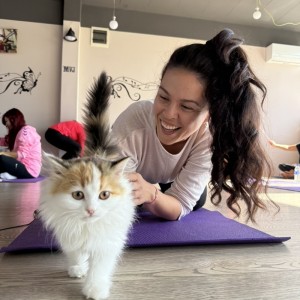 Вълшебно изживяване „Йога с котенца“