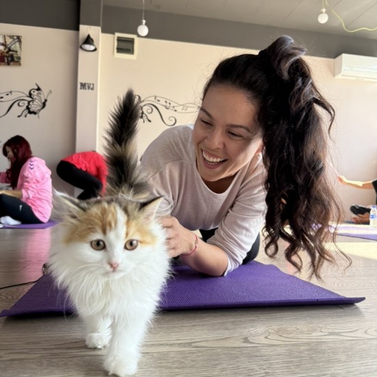 Сладост, практика и игра с „Йога с котенца“ от Makaroon Сладост, практика и игра с „Йога с котенца“ от Makaroon